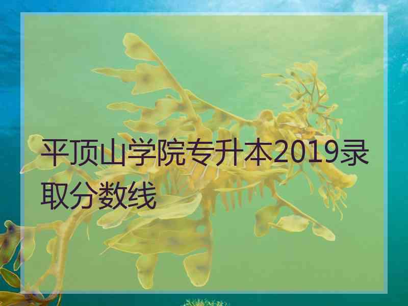 平顶山学院专升本2019录取分数线