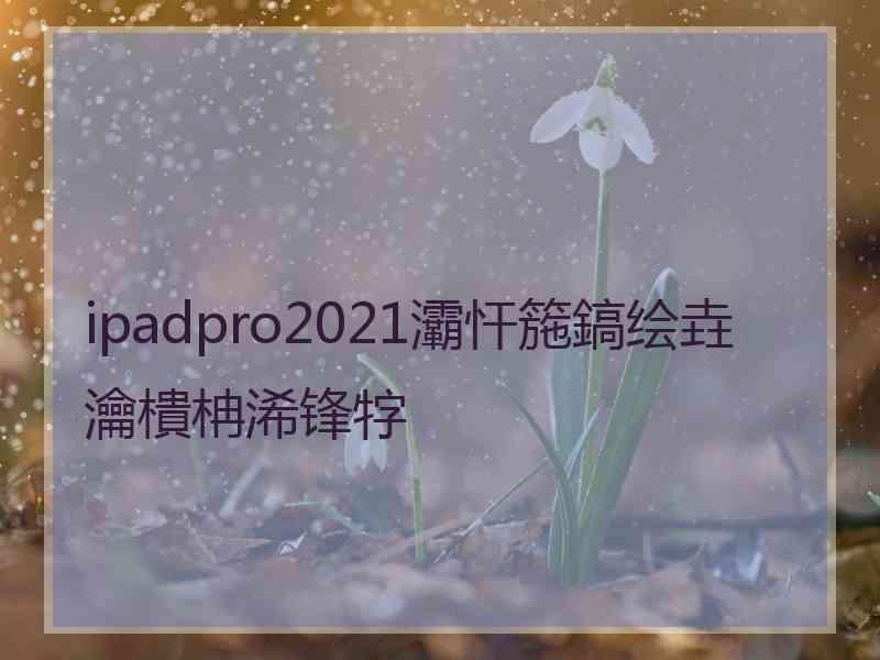 ipadpro2021灞忓箷鎬绘垚瀹樻柟浠锋牸