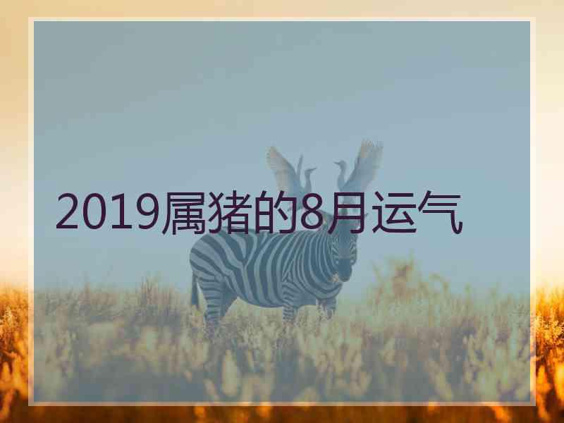 2019属猪的8月运气