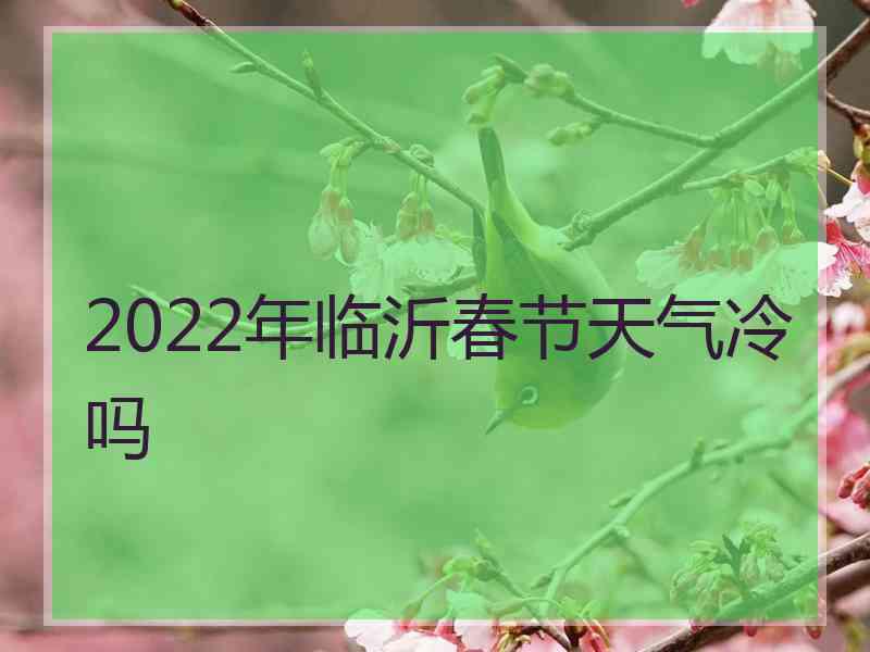 2022年临沂春节天气冷吗