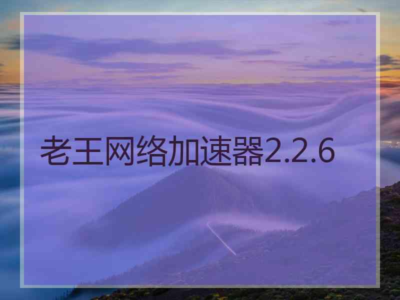 老王网络加速器2.2.6