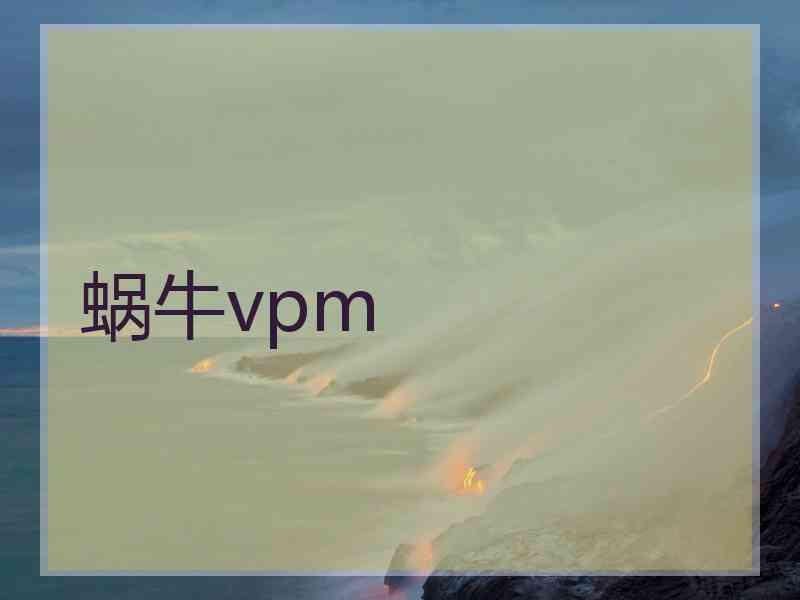 蜗牛vpm