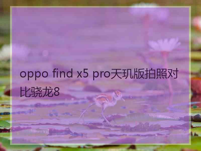 oppo find x5 pro天玑版拍照对比骁龙8