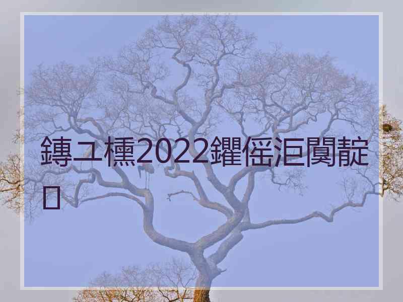 鏄ユ櫄2022鑺傜洰闃靛