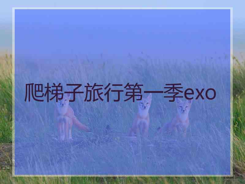 爬梯子旅行第一季exo