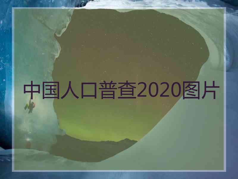 中国人口普查2020图片