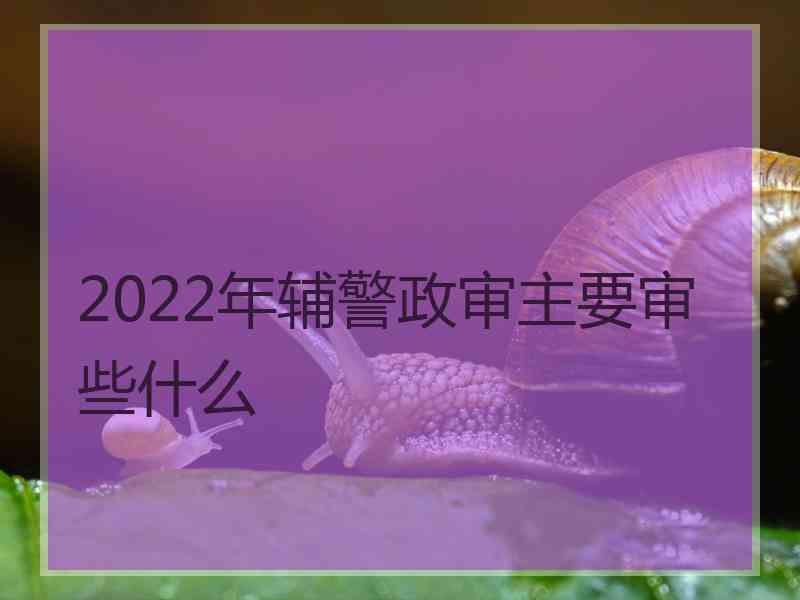 2022年辅警政审主要审些什么