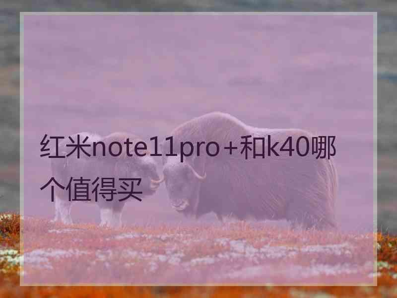 红米note11pro+和k40哪个值得买