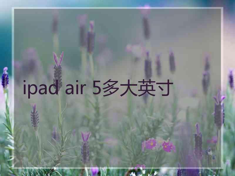 ipad air 5多大英寸