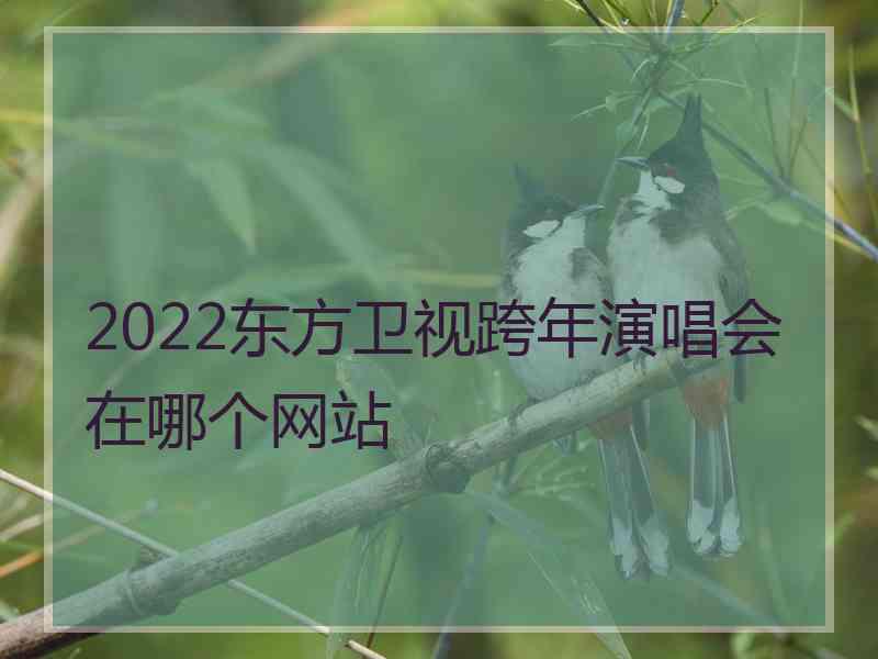 2022东方卫视跨年演唱会在哪个网站