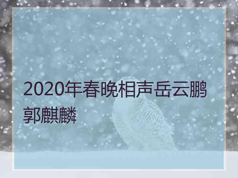 2020年春晚相声岳云鹏郭麒麟