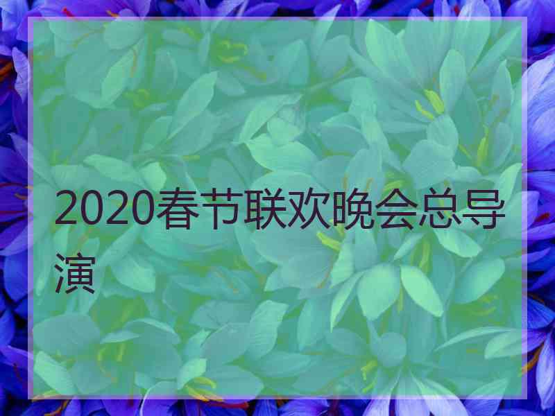 2020春节联欢晚会总导演