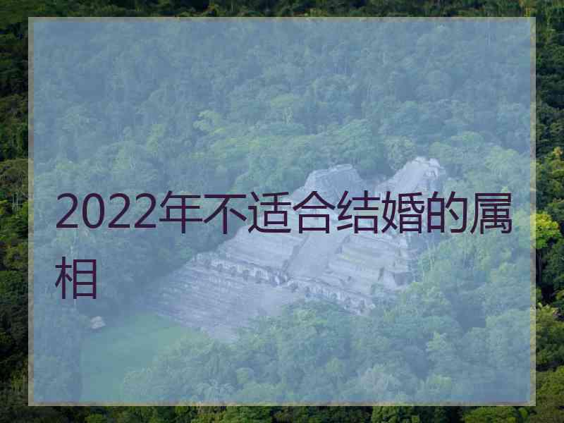 2022年不适合结婚的属相