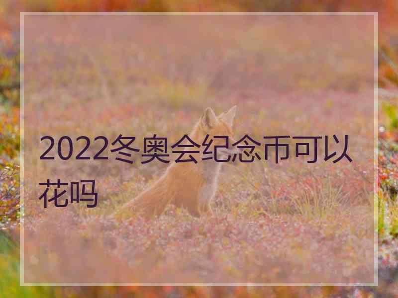 2022冬奥会纪念币可以花吗