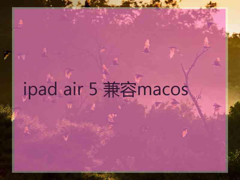 ipad air 5 兼容macos