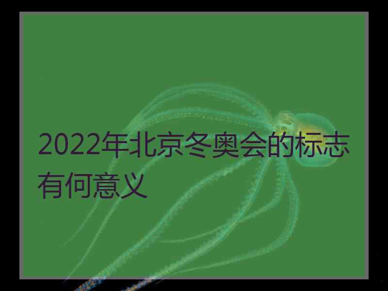 2022年北京冬奥会的标志有何意义