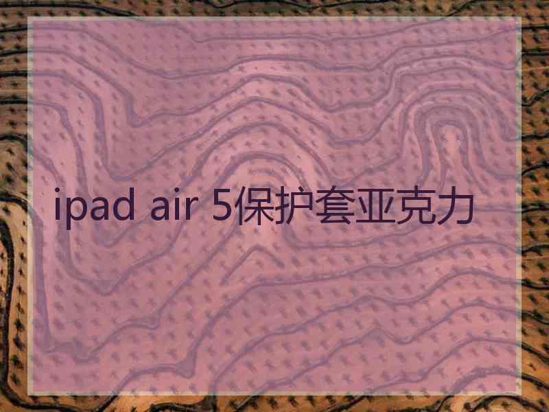 ipad air 5保护套亚克力