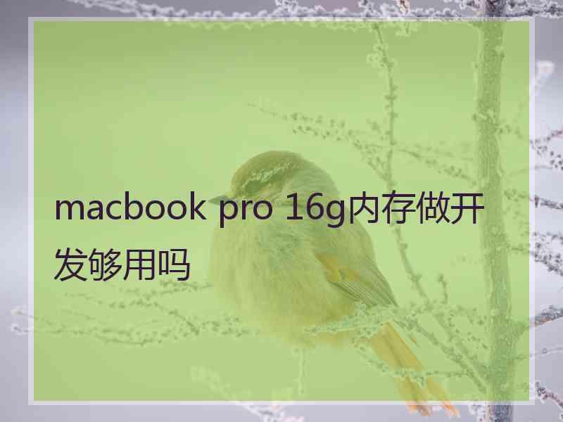 macbook pro 16g内存做开发够用吗