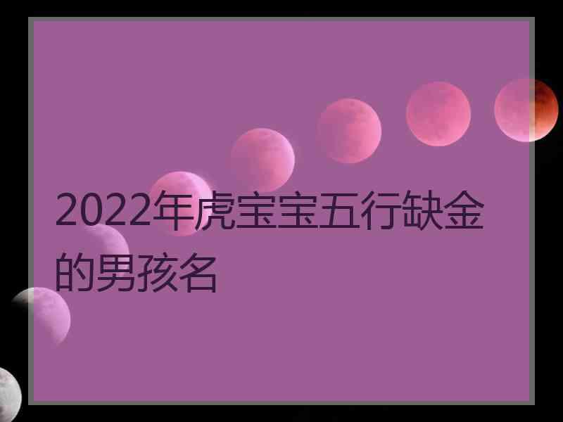 2022年虎宝宝五行缺金的男孩名