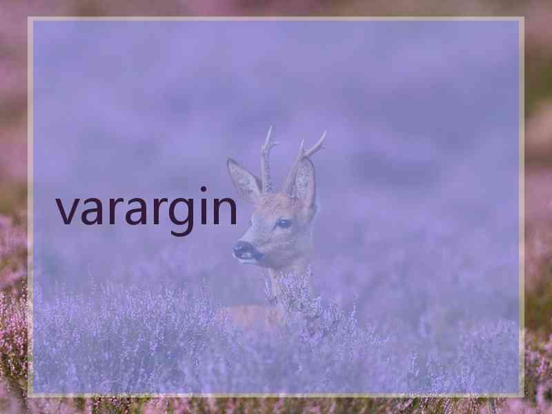 varargin