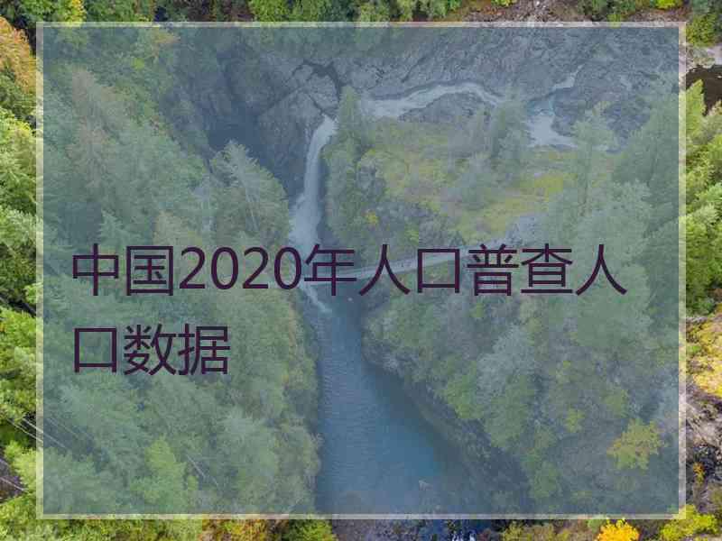 中国2020年人口普查人口数据