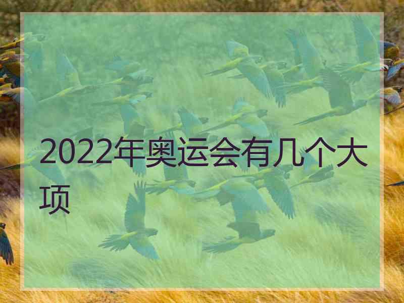 2022年奥运会有几个大项