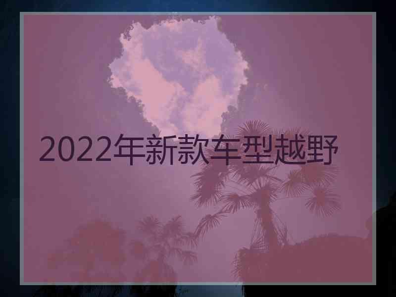 2022年新款车型越野