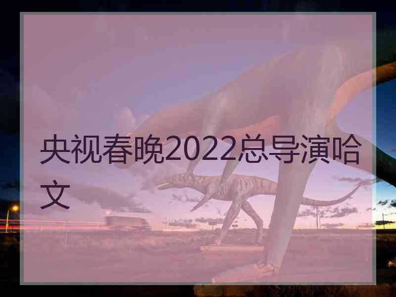 央视春晚2022总导演哈文