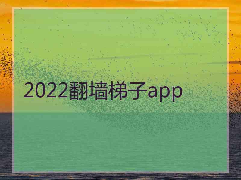 2022翻墙梯子app