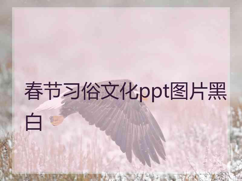 春节习俗文化ppt图片黑白