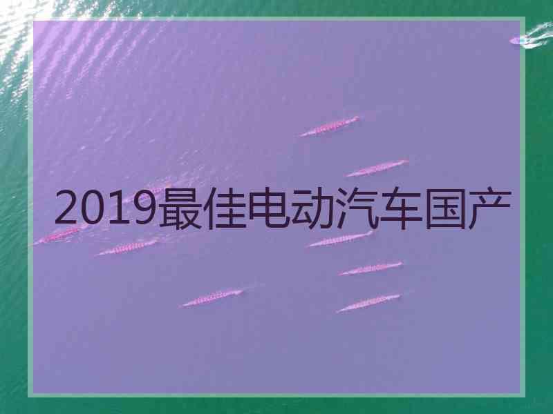 2019最佳电动汽车国产