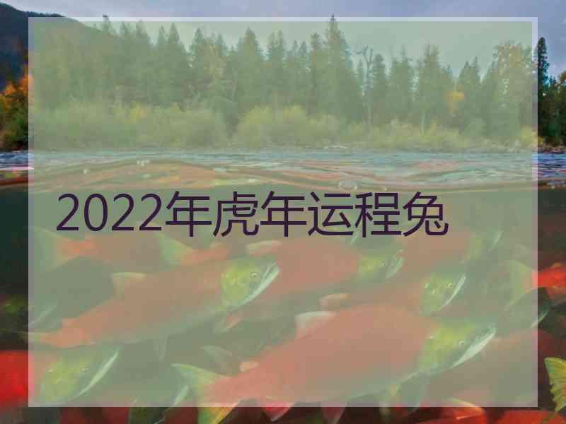 2022年虎年运程兔