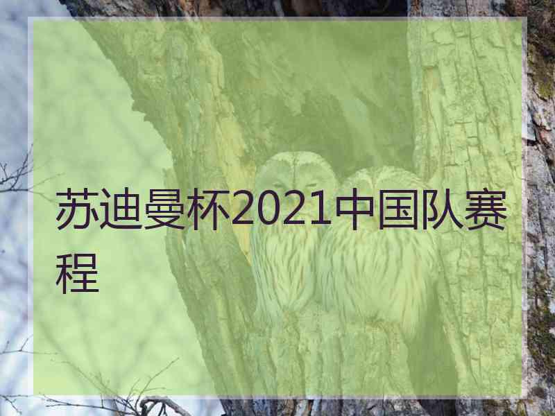 苏迪曼杯2021中国队赛程