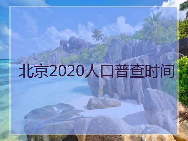 北京2020人口普查时间