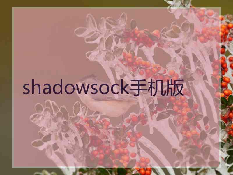 shadowsock手机版