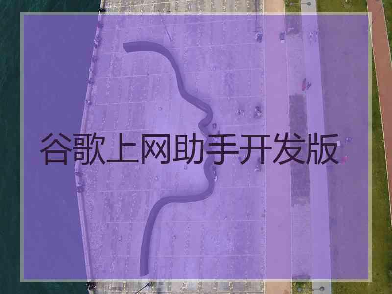 谷歌上网助手开发版