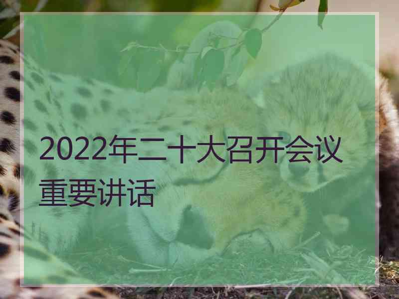 2022年二十大召开会议重要讲话