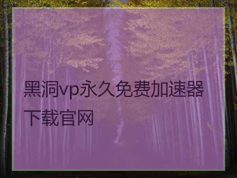 黑洞vp永久免费加速器下载官网