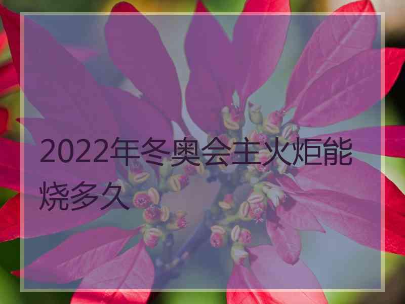 2022年冬奥会主火炬能烧多久