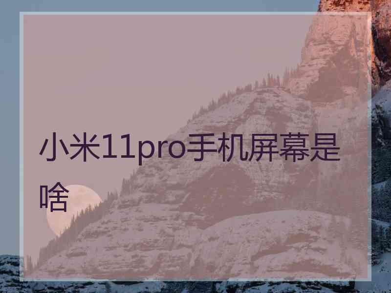 小米11pro手机屏幕是啥