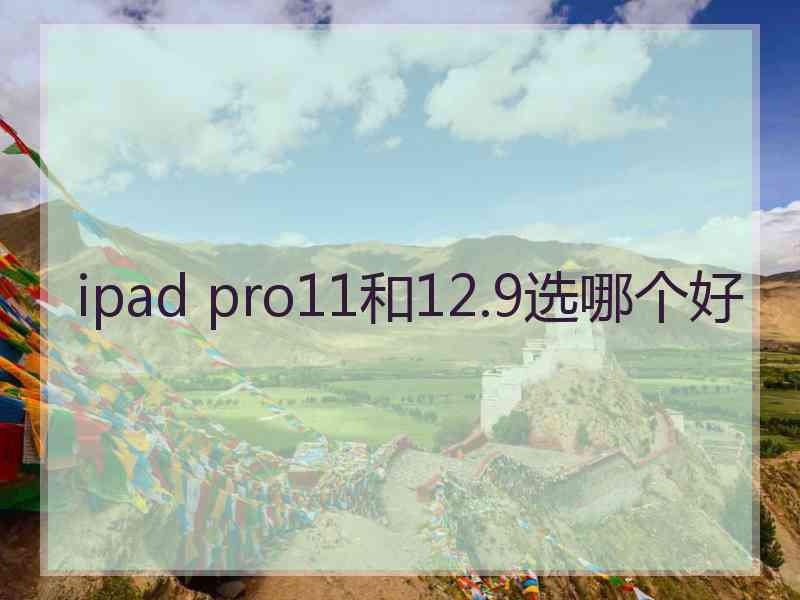 ipad pro11和12.9选哪个好