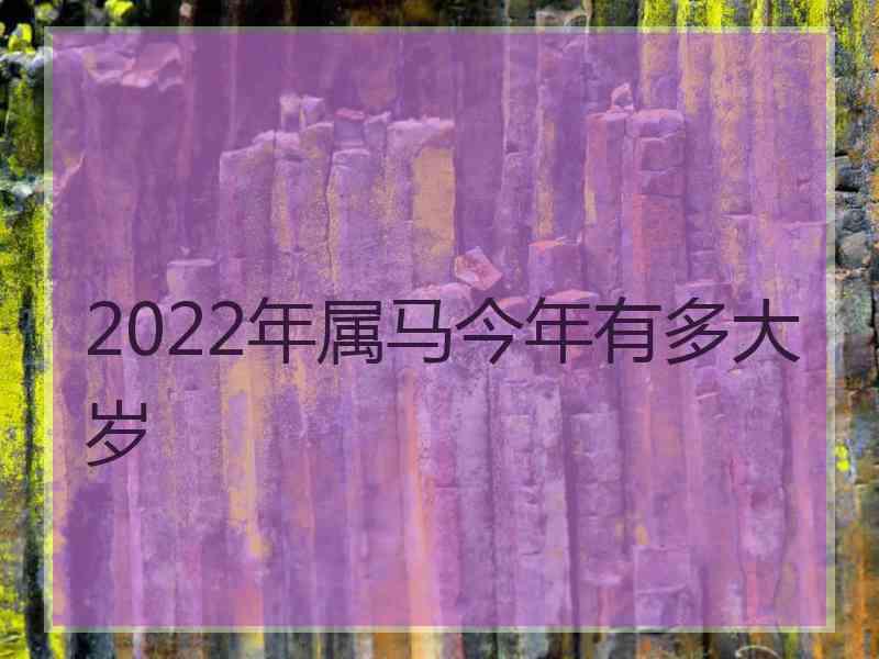 2022年属马今年有多大岁