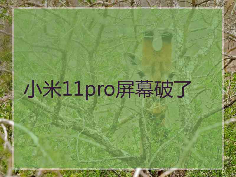 小米11pro屏幕破了