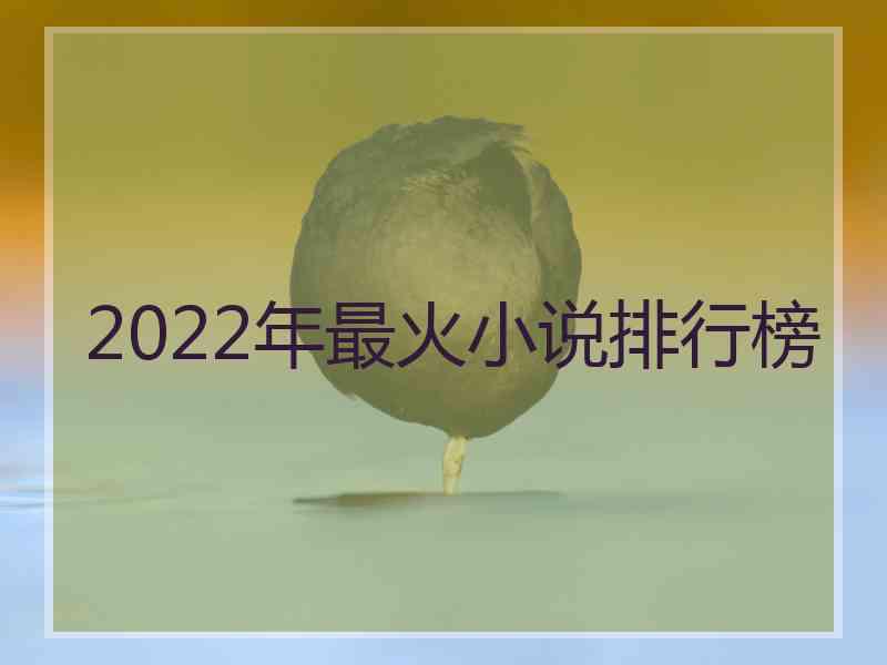 2022年最火小说排行榜