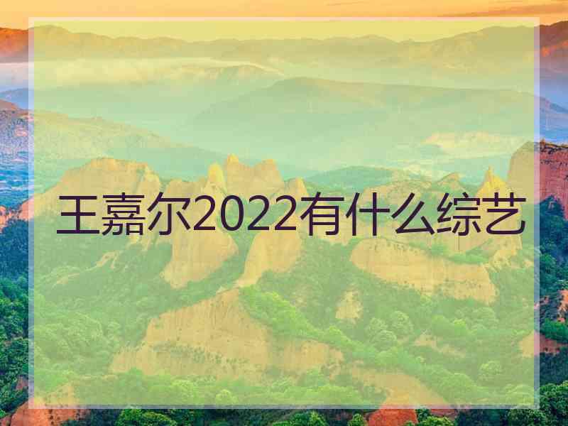 王嘉尔2022有什么综艺