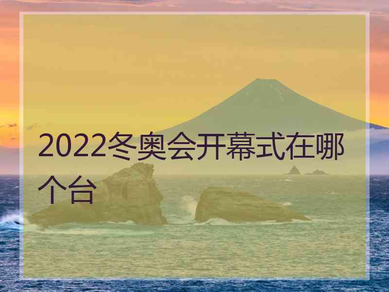 2022冬奥会开幕式在哪个台