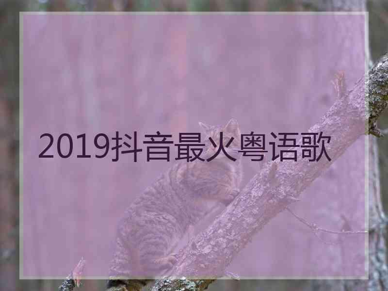 2019抖音最火粤语歌