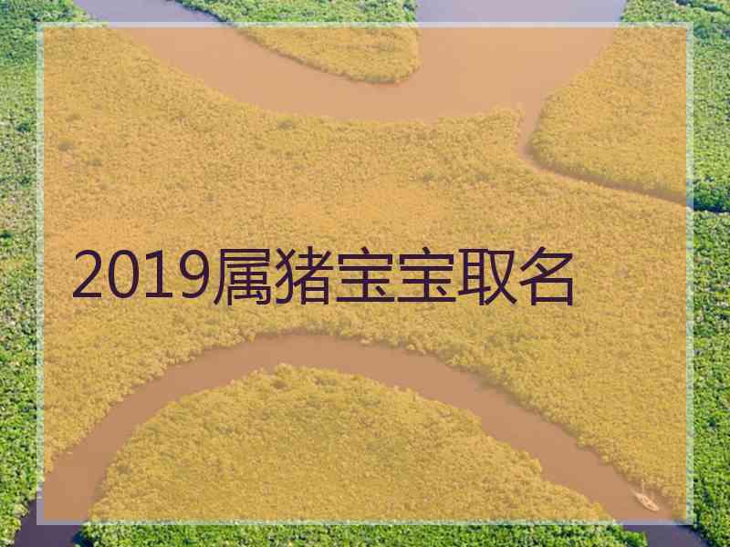 2019属猪宝宝取名