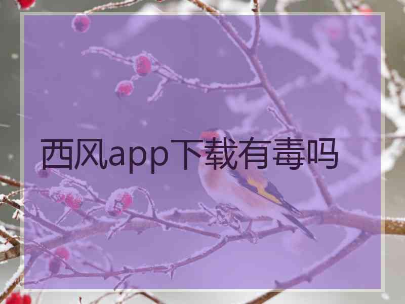 西风app下载有毒吗