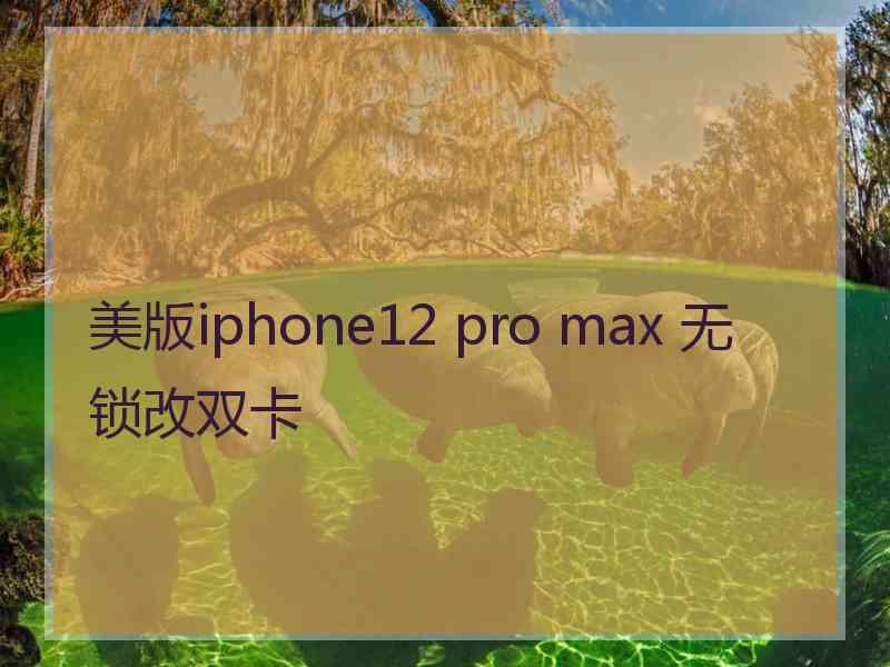 美版iphone12 pro max 无锁改双卡